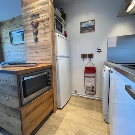 Renove Pour 4 Pers., Bien Equipe Avec Reductions Sur Forfaits Et Materiel De - Fr-1-165a-36 Apartment *